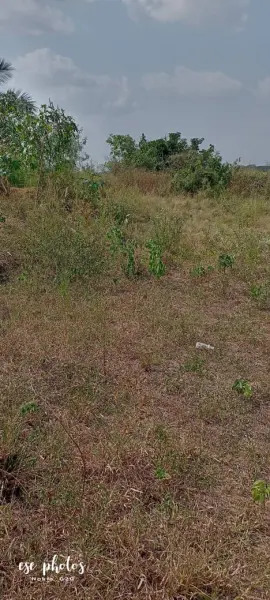 Roadside Land for sale at Ojobi, off the Senya Road